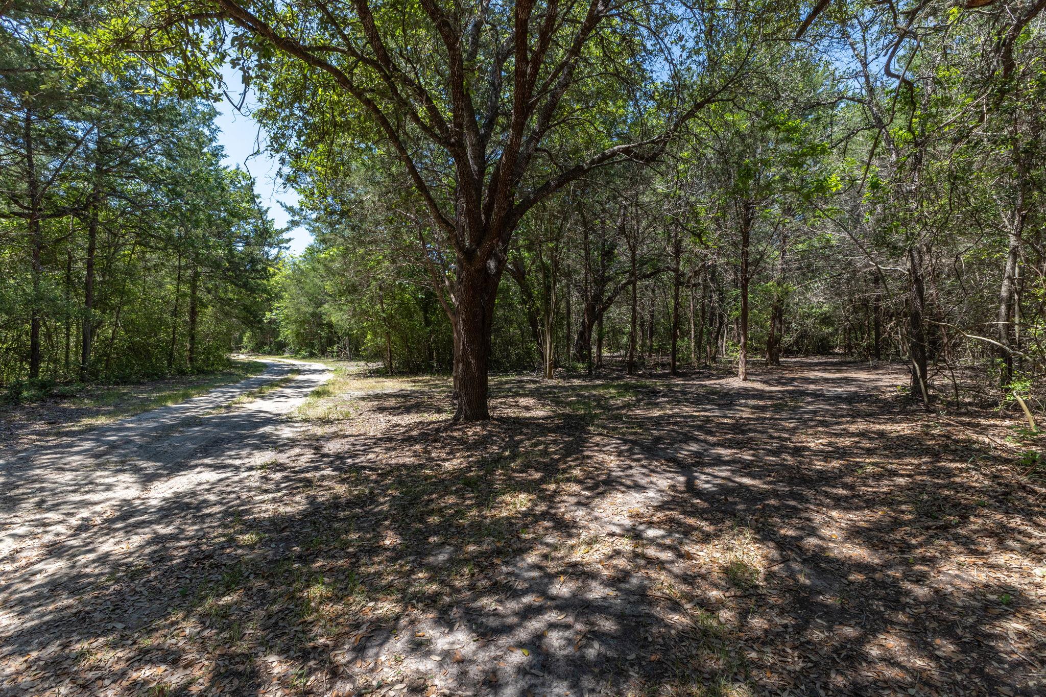 2088 (Tract #3) Baca Loop Flatonia TX 78941