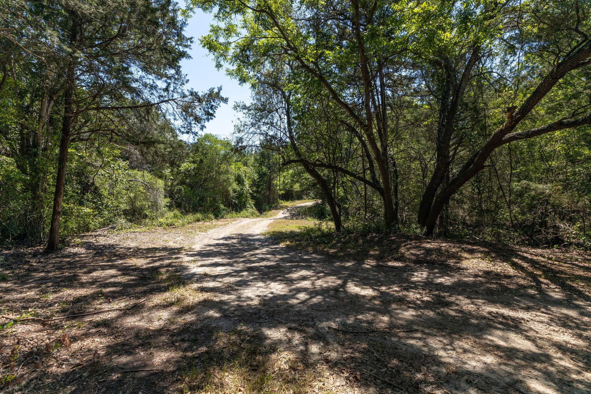 2088 (Tract #3) Baca Loop Flatonia TX 78941