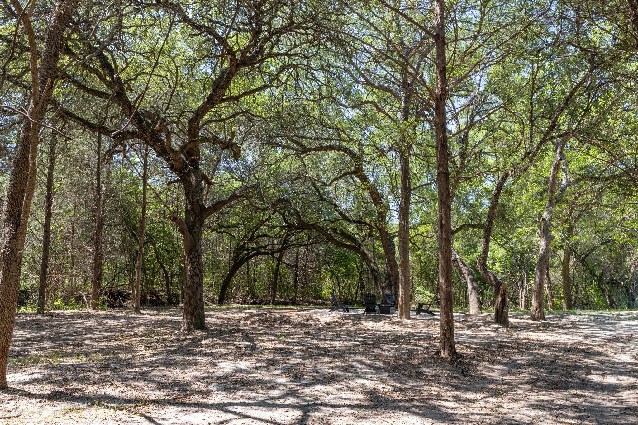 2088 (Tract #3) Baca Loop Flatonia TX 78941