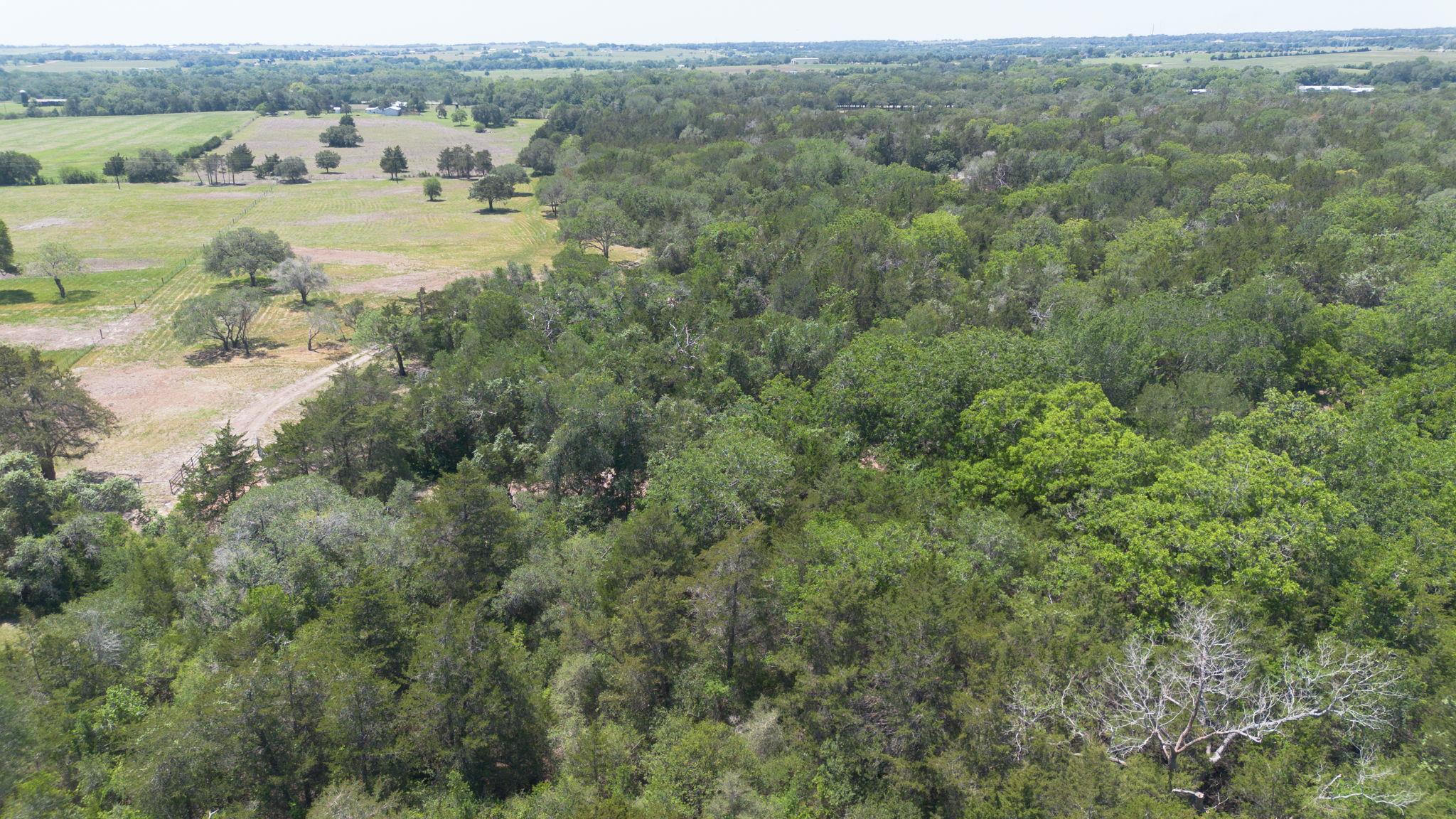 2088 (Tract #3) Baca Loop Flatonia TX 78941