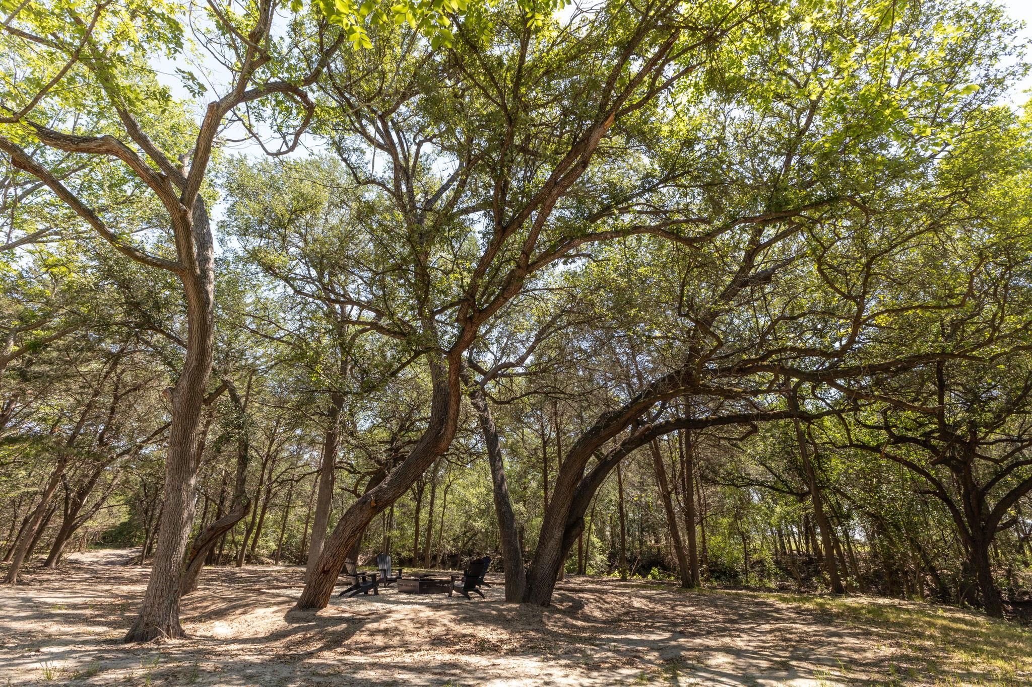 2088 (Tract #3) Baca Loop Flatonia TX 78941