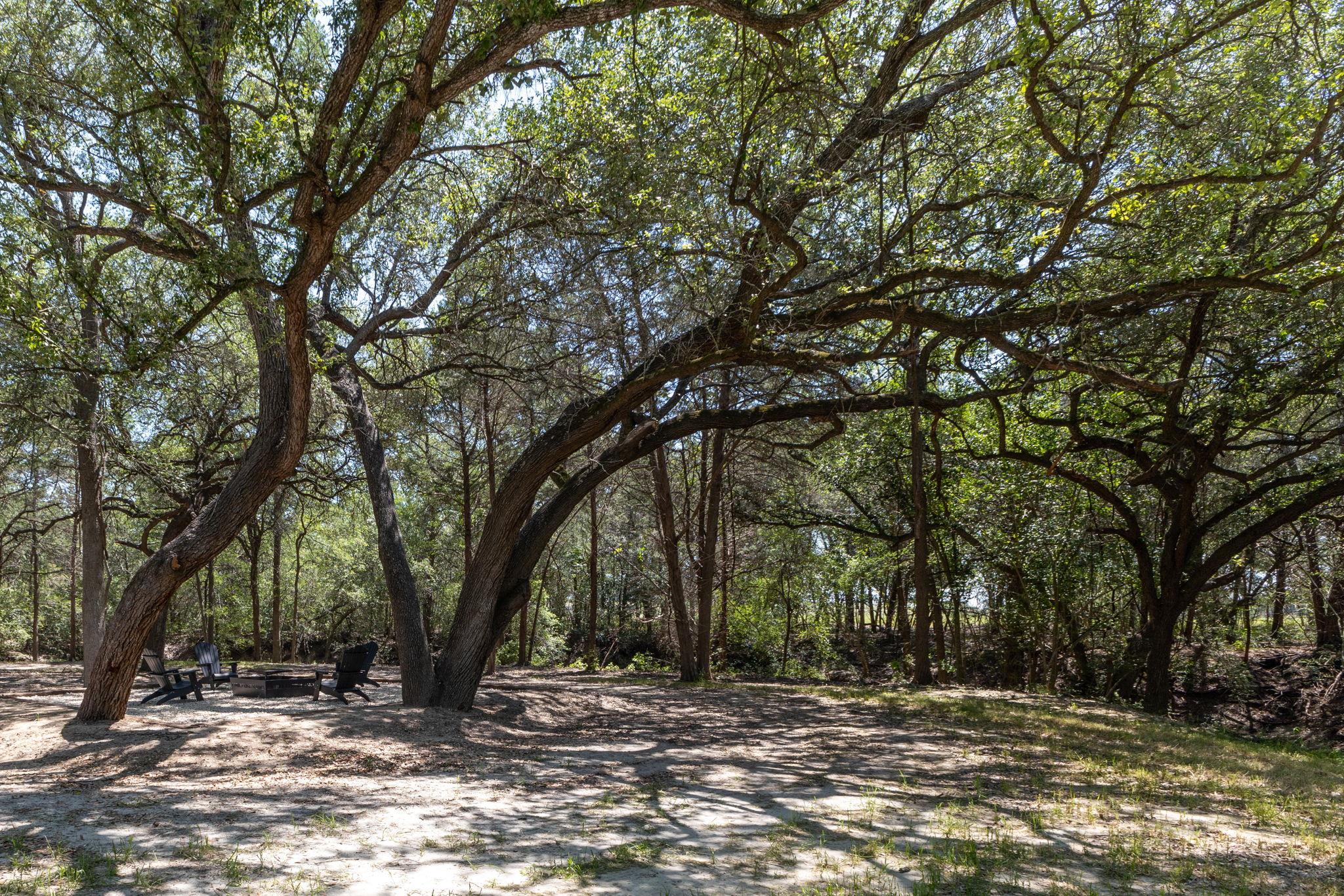2088 (Tract #3) Baca Loop Flatonia TX 78941