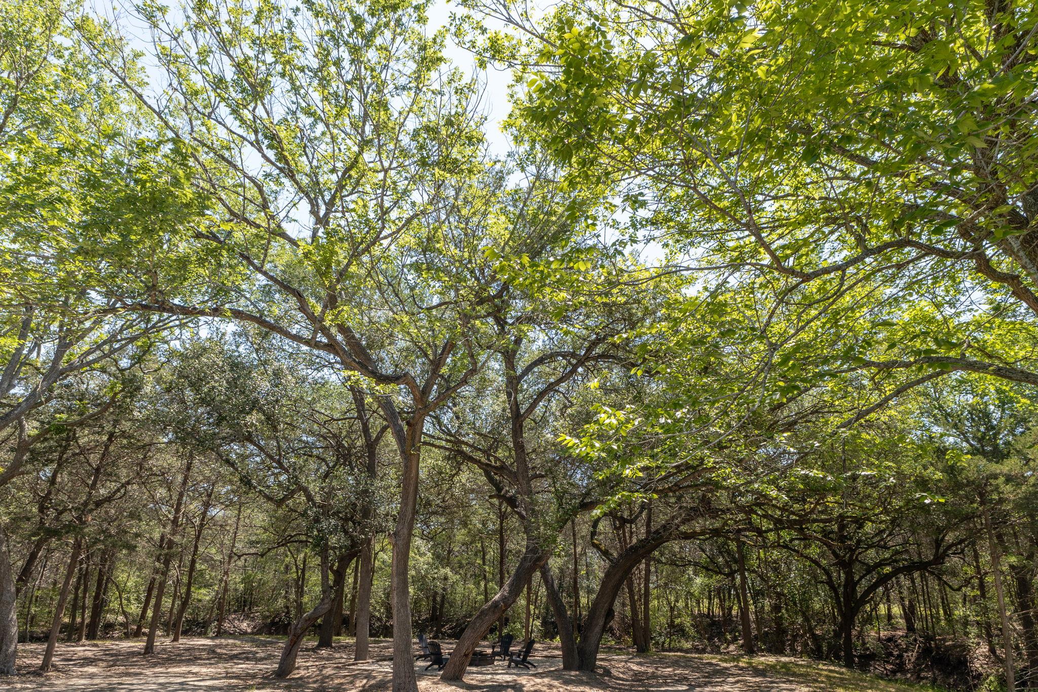 2088 (Tract #3) Baca Loop Flatonia TX 78941