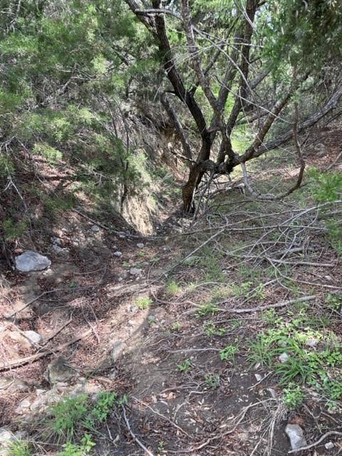 2250 Walter White Road Leakey TX 78873