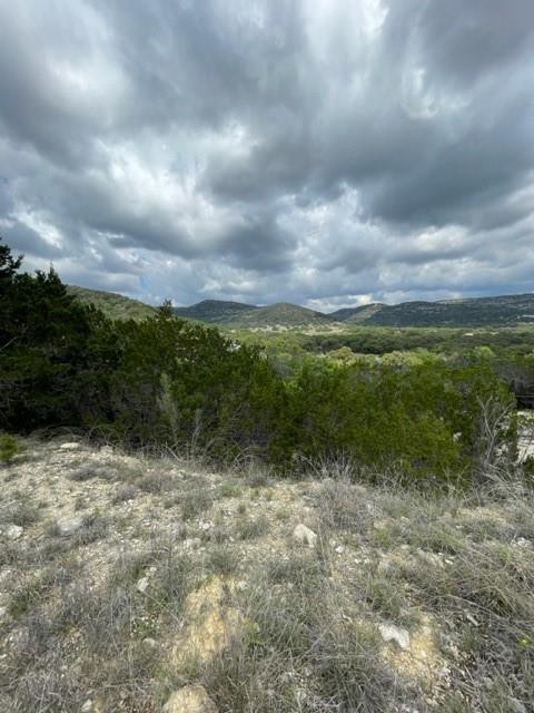 2250 Walter White Road Leakey TX 78873