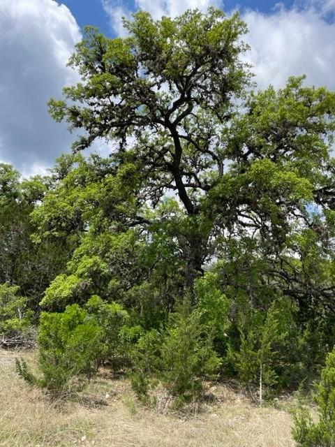 2250 Walter White Road Leakey TX 78873