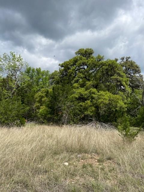 2250 Walter White Road Leakey TX 78873