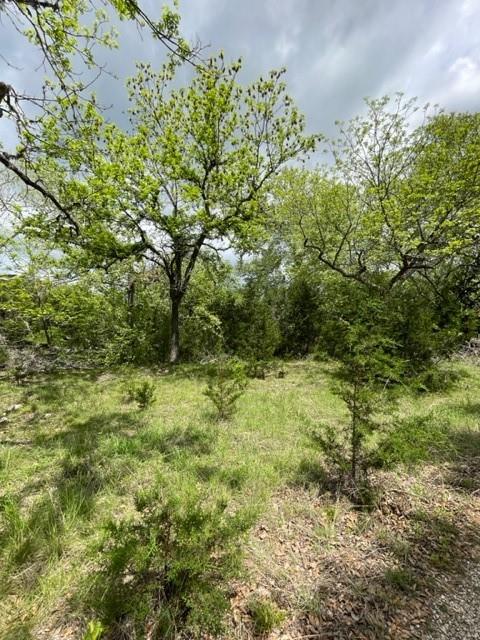 2250 Walter White Road Leakey TX 78873