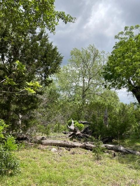 2250 Walter White Road Leakey TX 78873