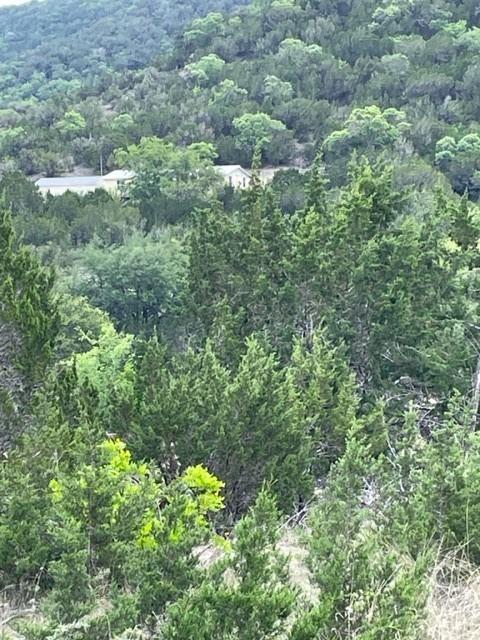 2250 Walter White Road Leakey TX 78873