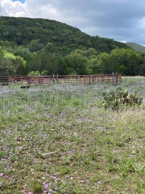 2250 Walter White Road Leakey TX 78873