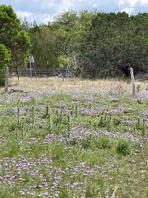 2250 Walter White Road Leakey TX 78873