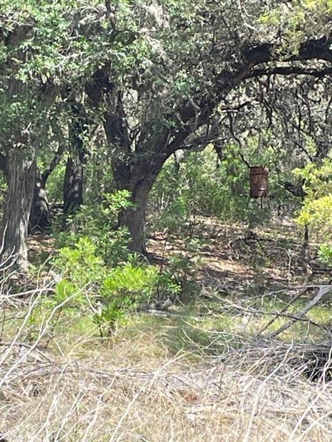 2250 Walter White Road Leakey TX 78873