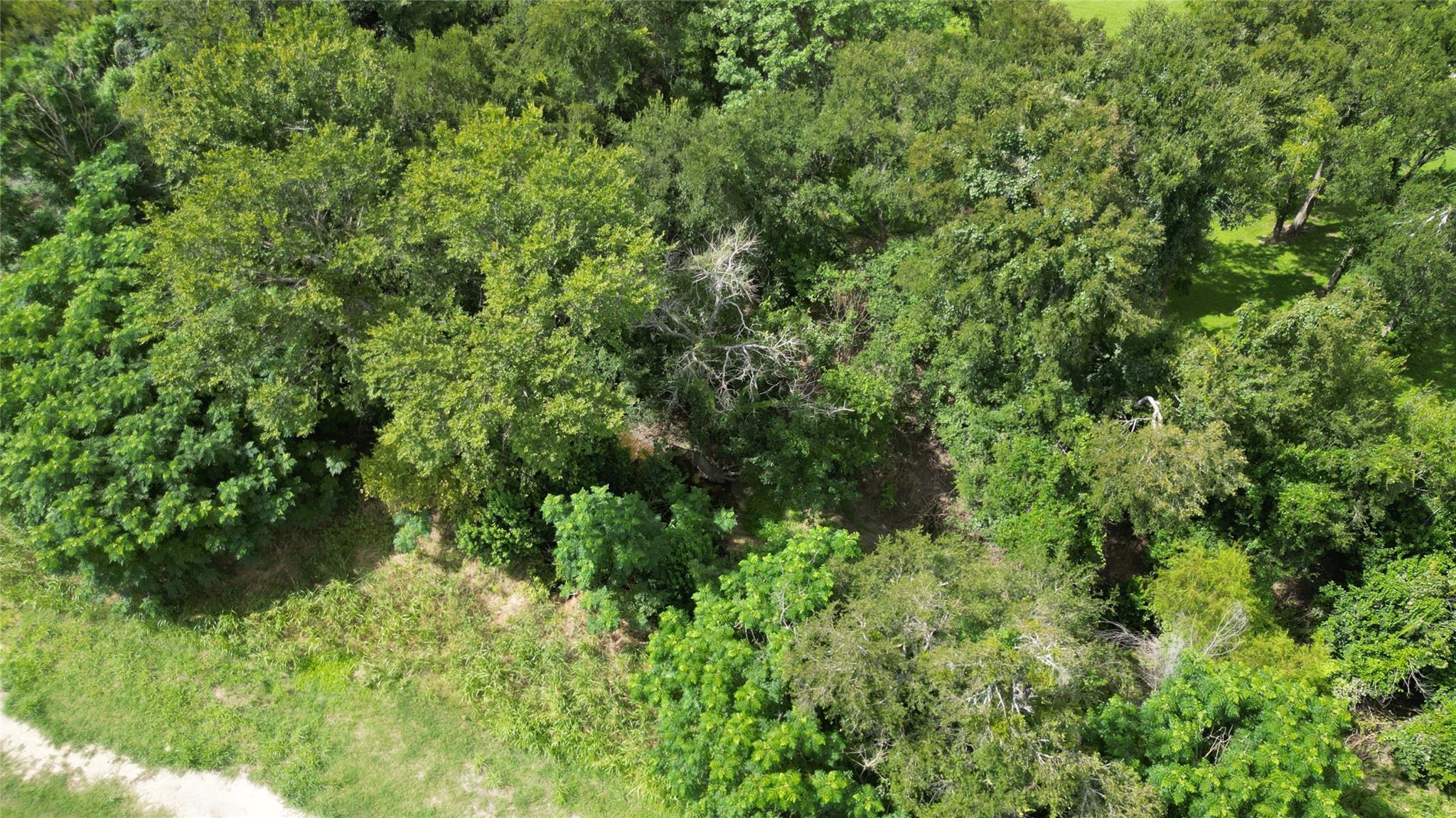 301 Fm 1660 Road Hutto TX 78634