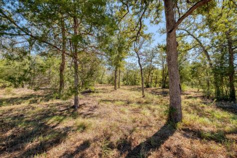 532 Peach Creek Road Rosanky TX 78953