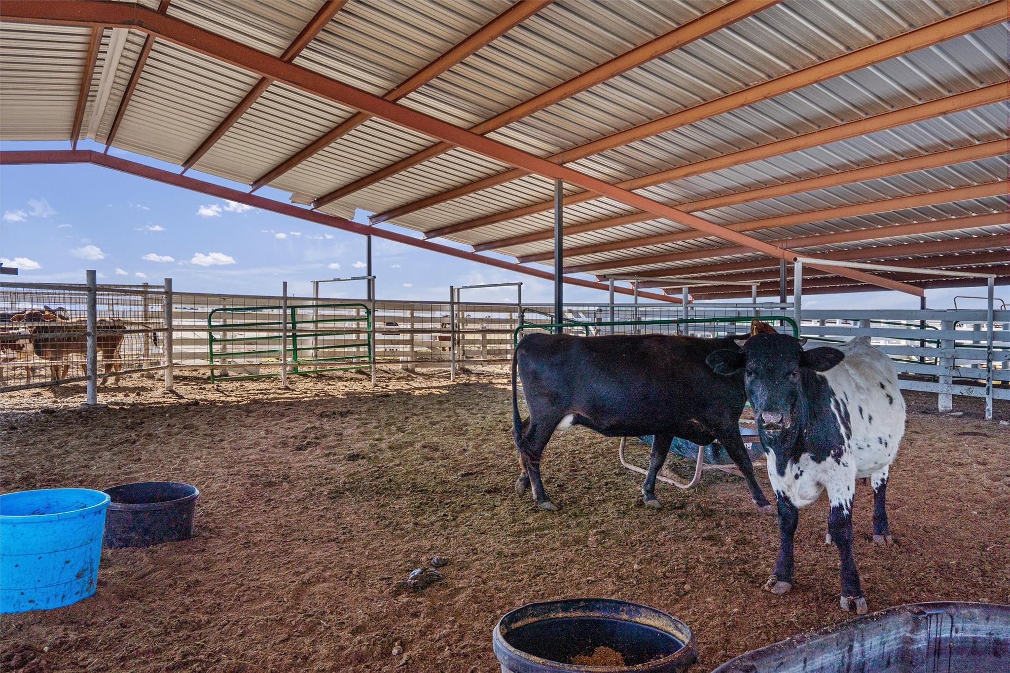 5300 County Road 424 Taylor TX 76574