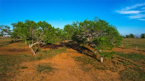 Tract 1 +/- 20 Ac E State Highway 87 Nixon TX 78140