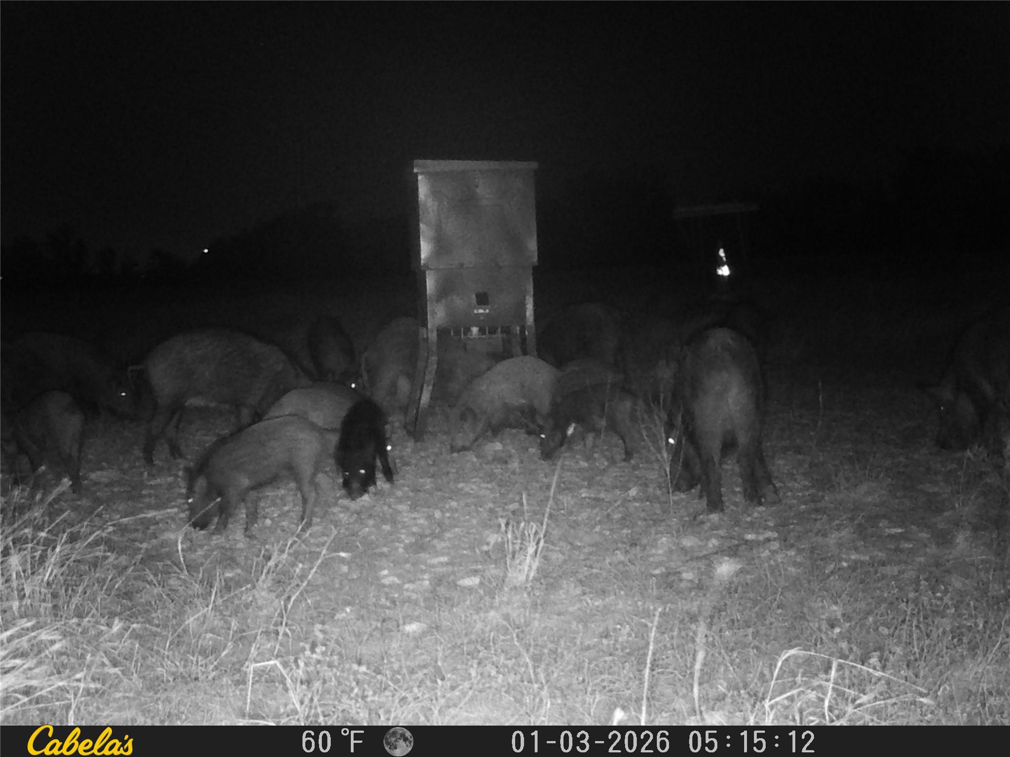 000 C.r, 316 Walburg TX 78626