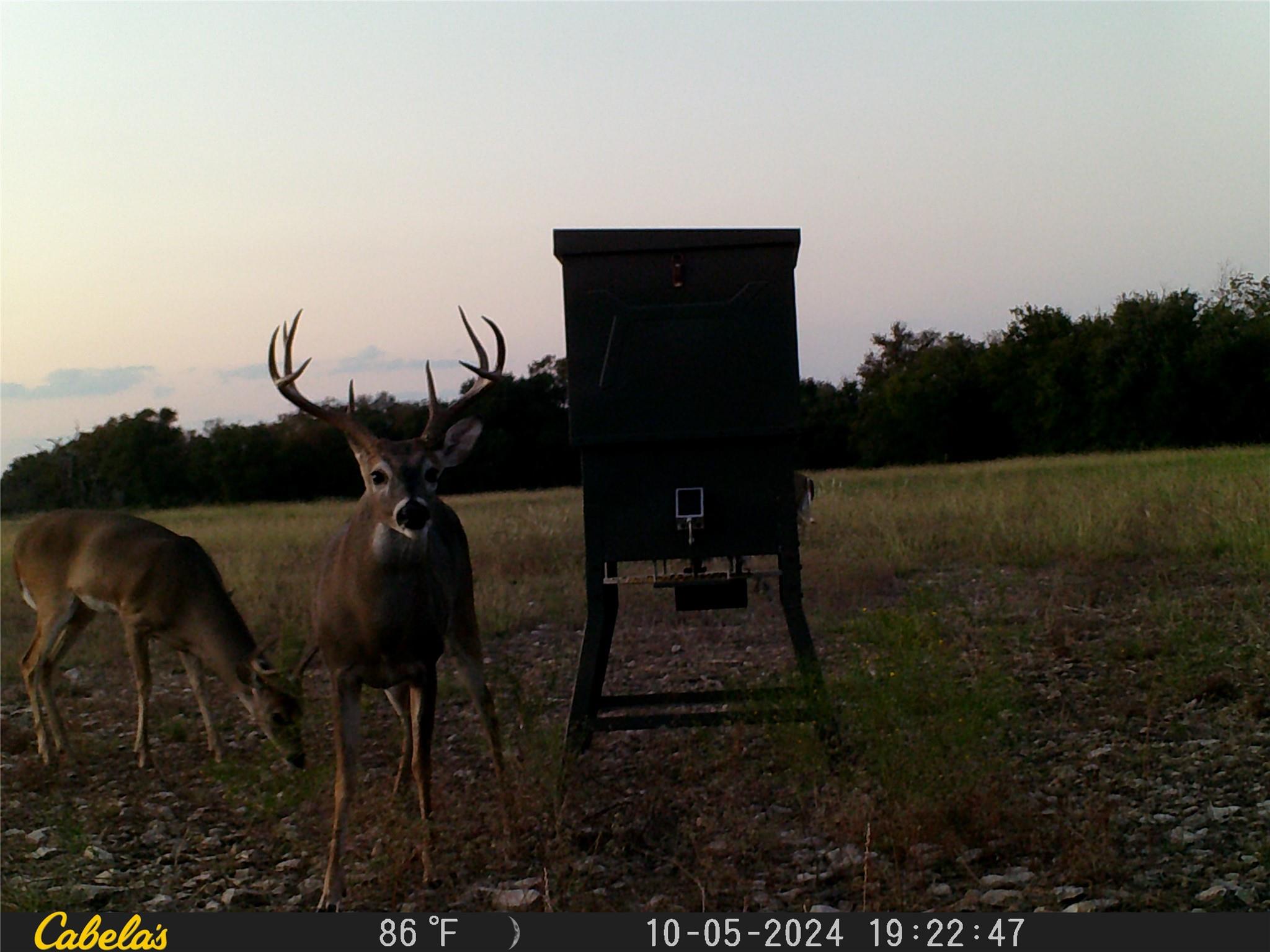 000 C.r, 316 Walburg TX 78626