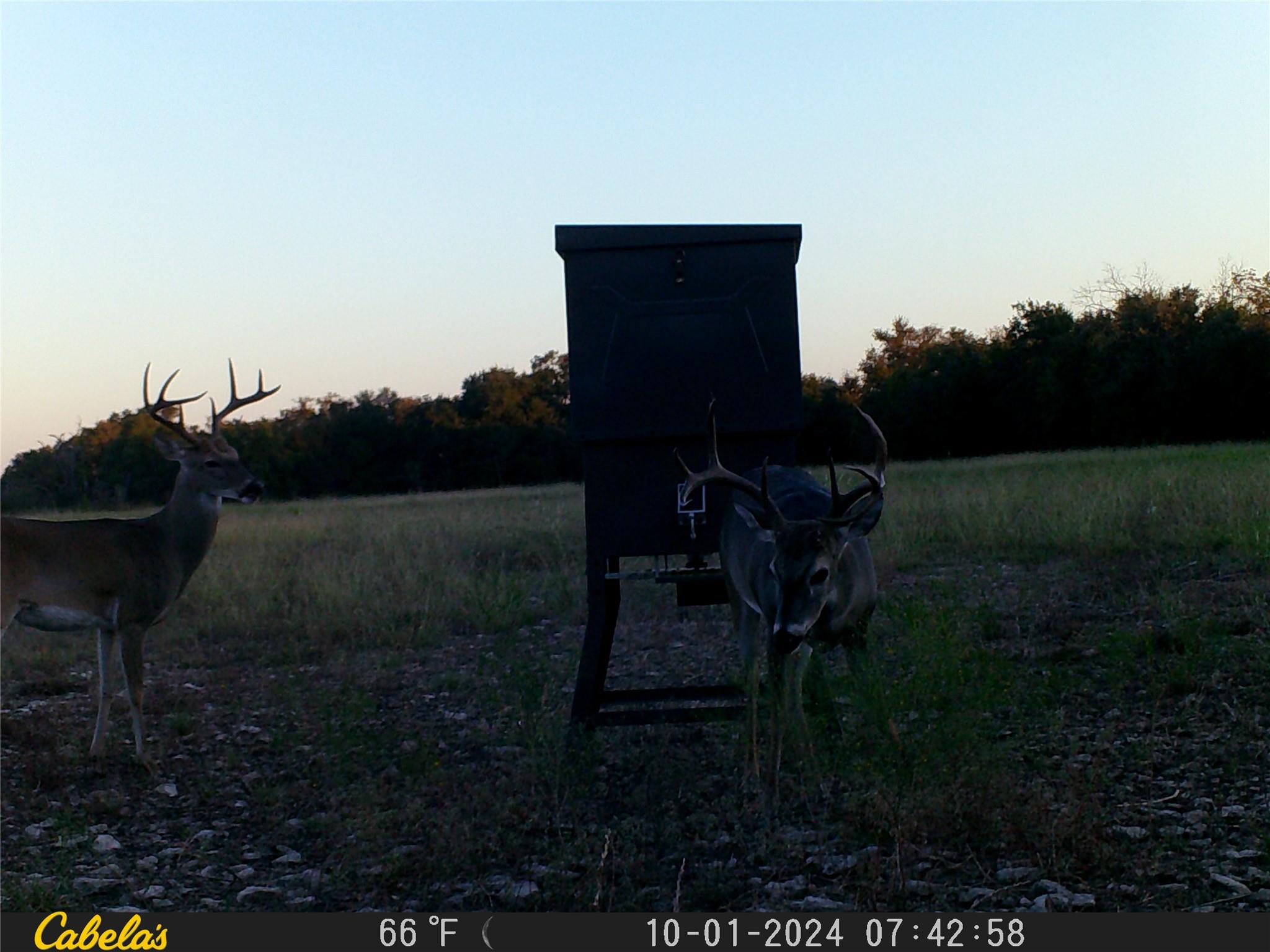 000 C.r, 316 Walburg TX 78626