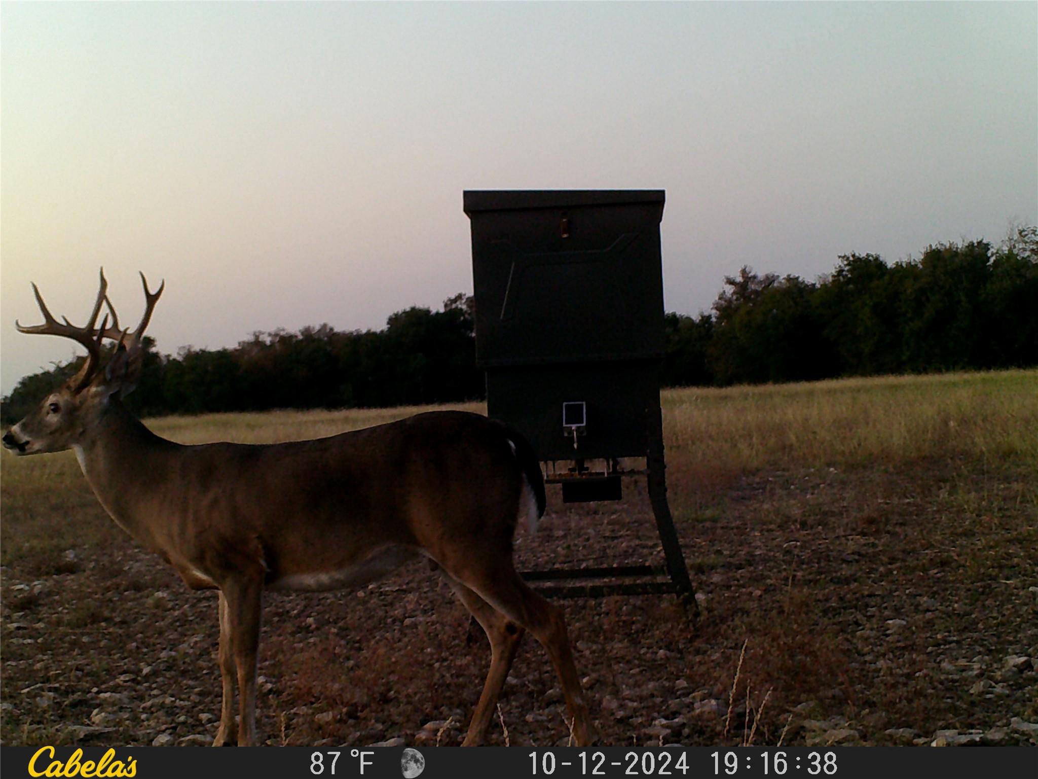 000 C.r, 316 Walburg TX 78626