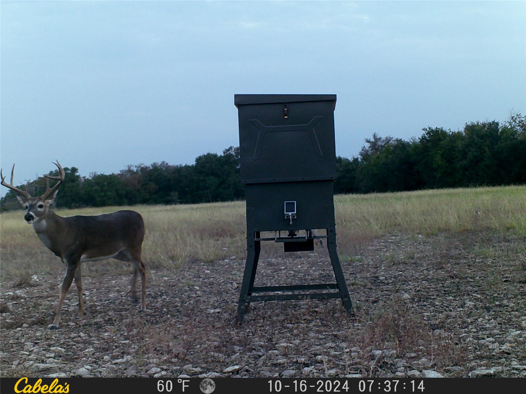 000 C.r, 316 Walburg TX 78626