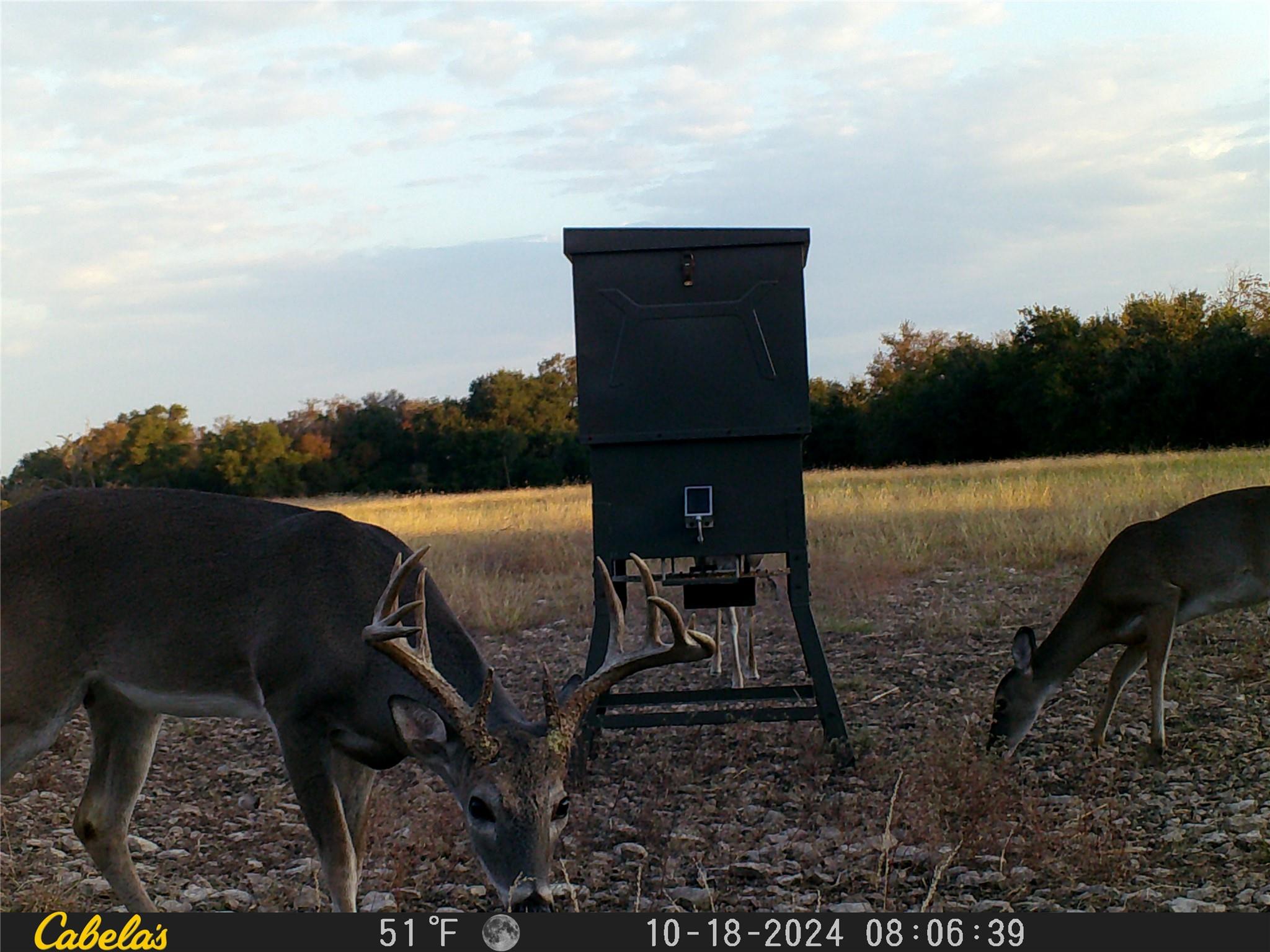 000 C.r, 316 Walburg TX 78626