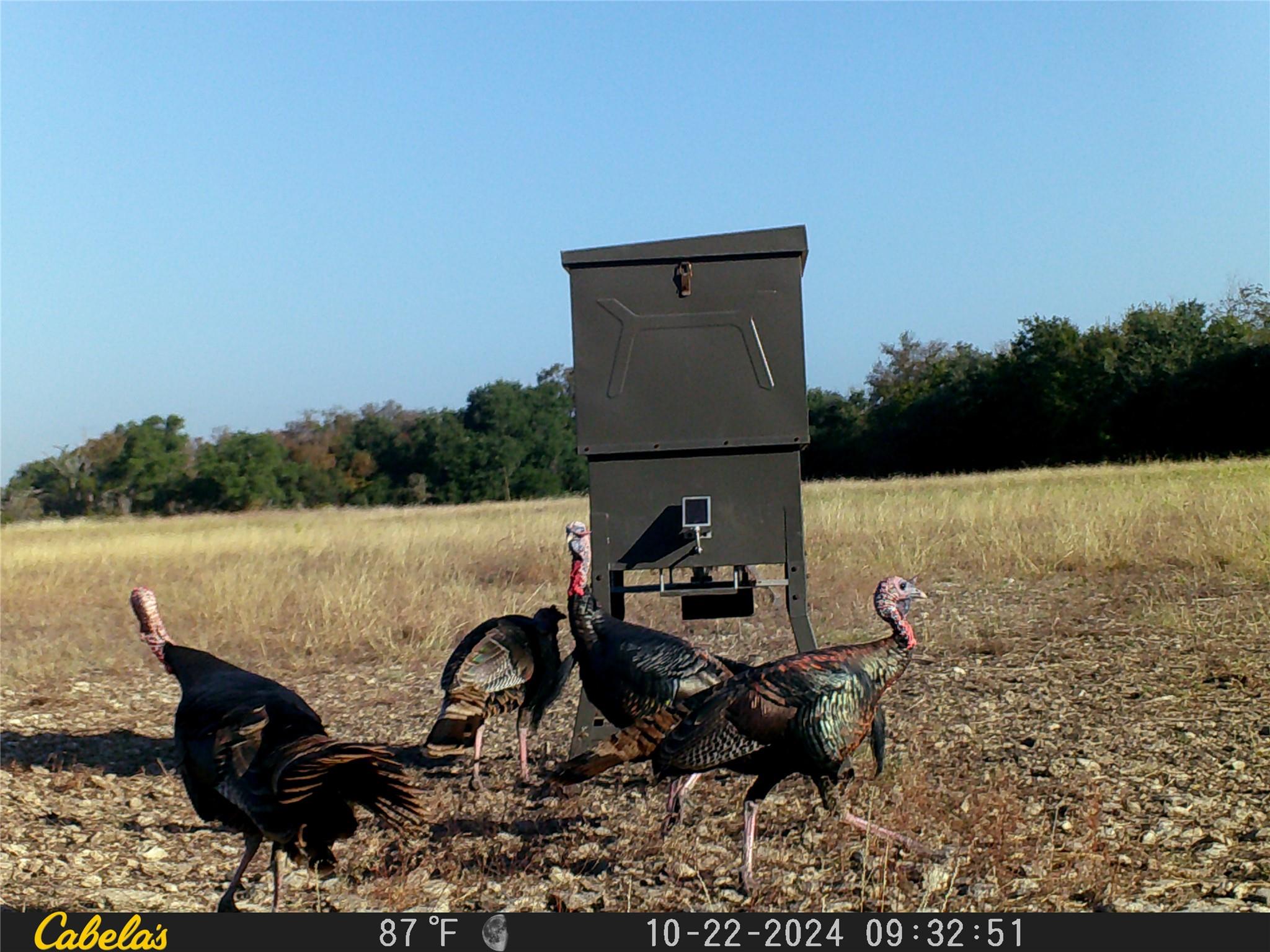 000 C.r, 316 Walburg TX 78626