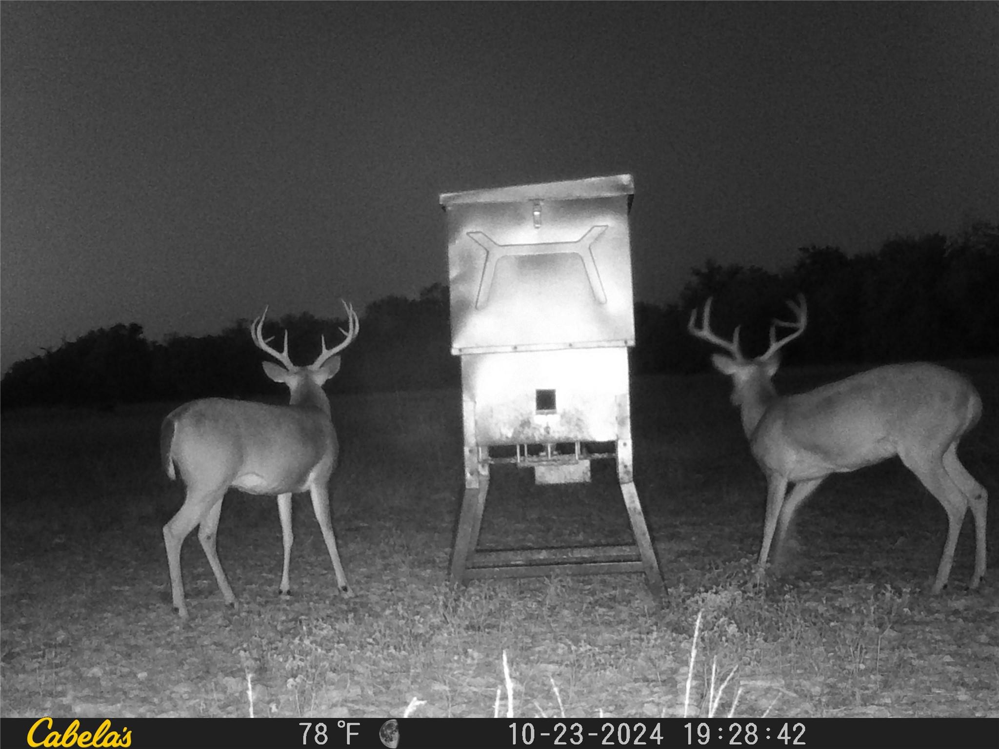 000 C.r, 316 Walburg TX 78626
