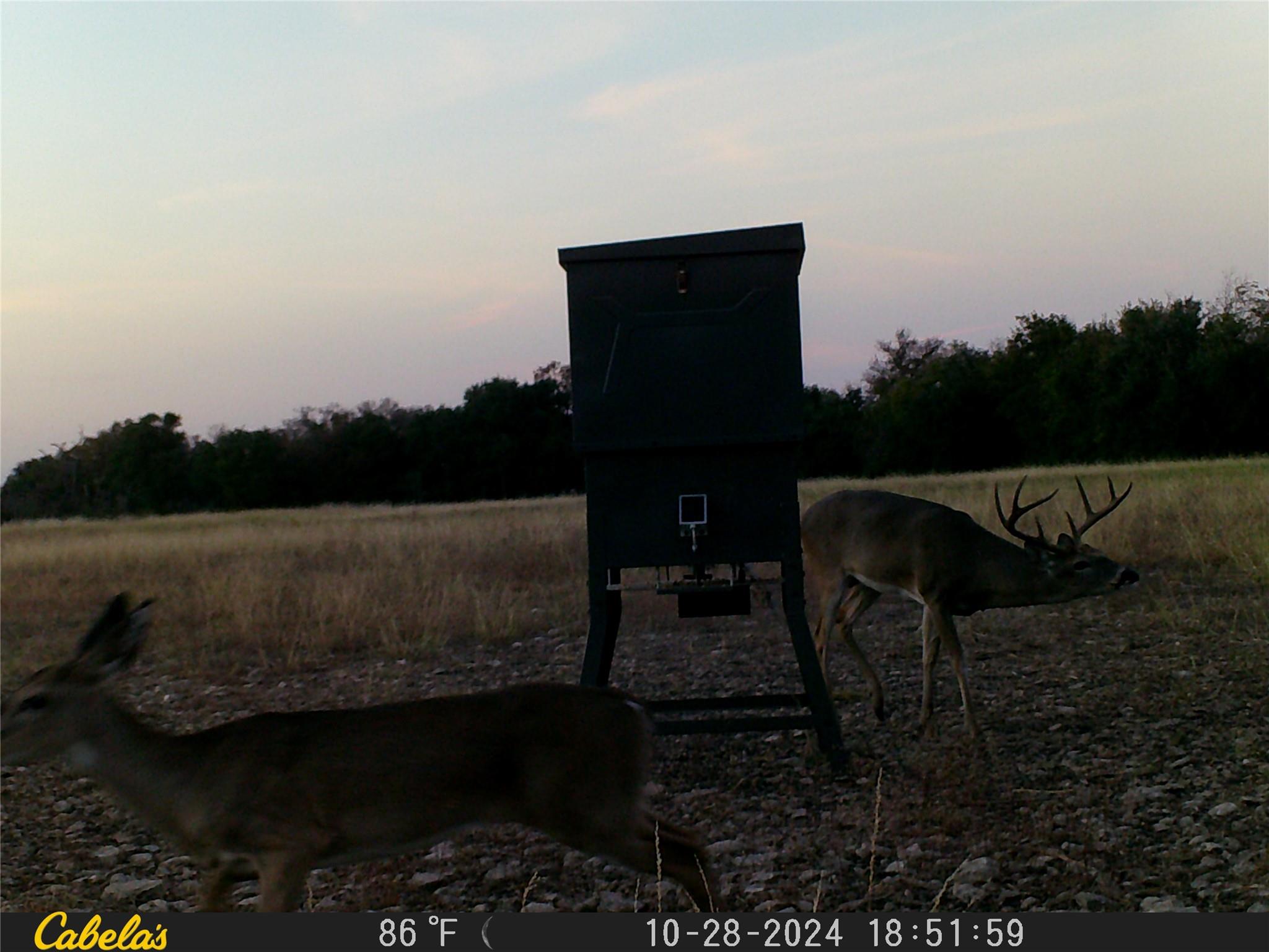 000 C.r, 316 Walburg TX 78626