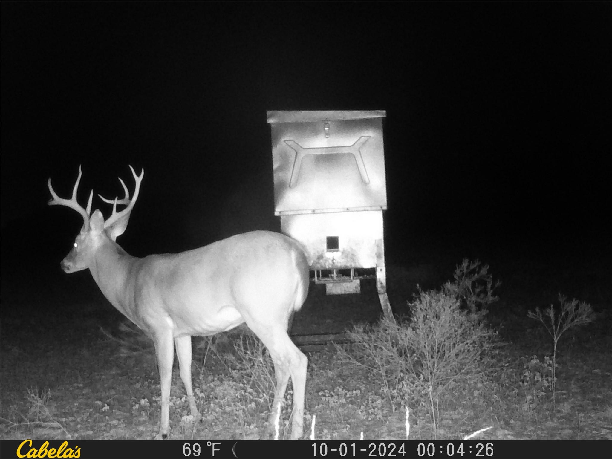 000 C.r, 316 Walburg TX 78626