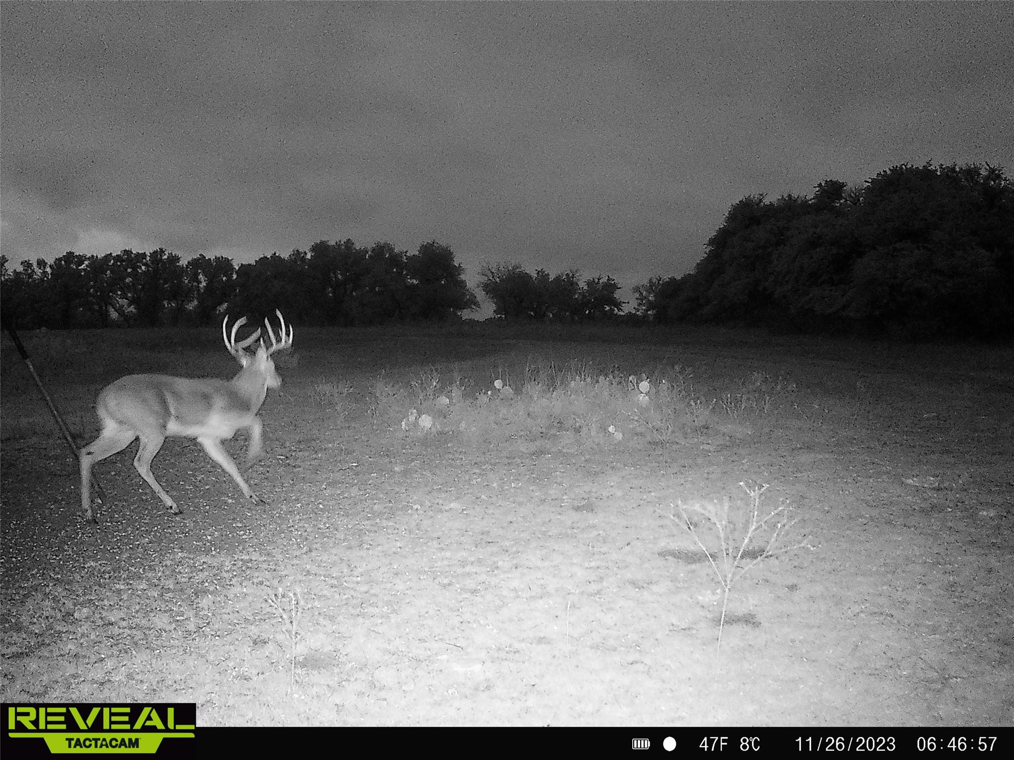 000 C.r, 316 Walburg TX 78626