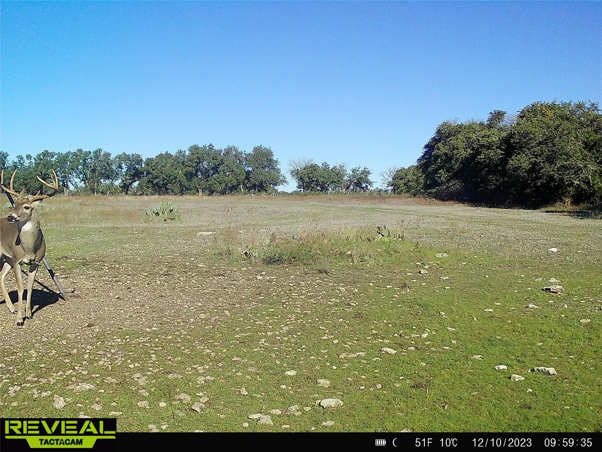 000 C.r, 316 Walburg TX 78626