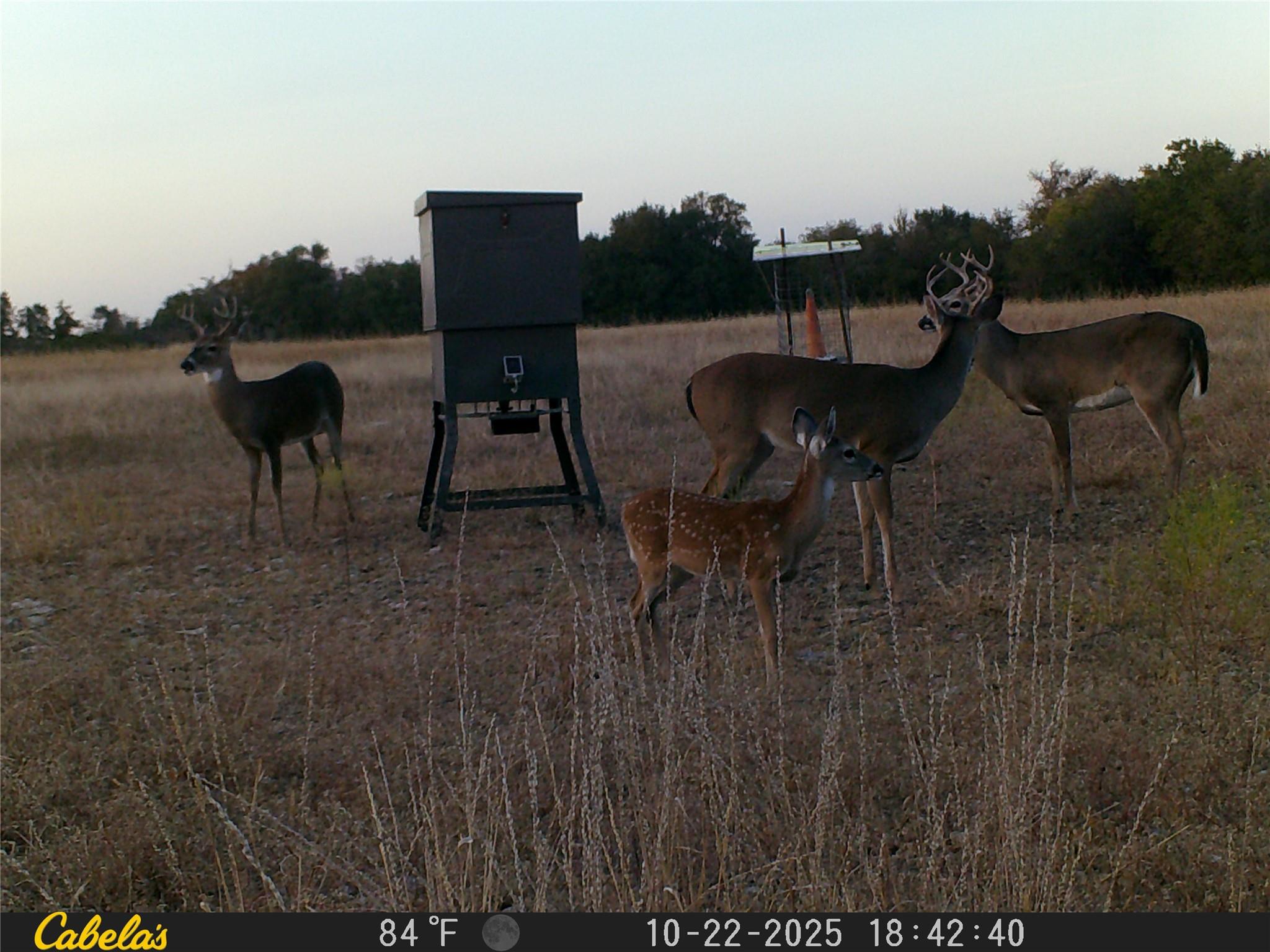 000 C.r, 316 Walburg TX 78626