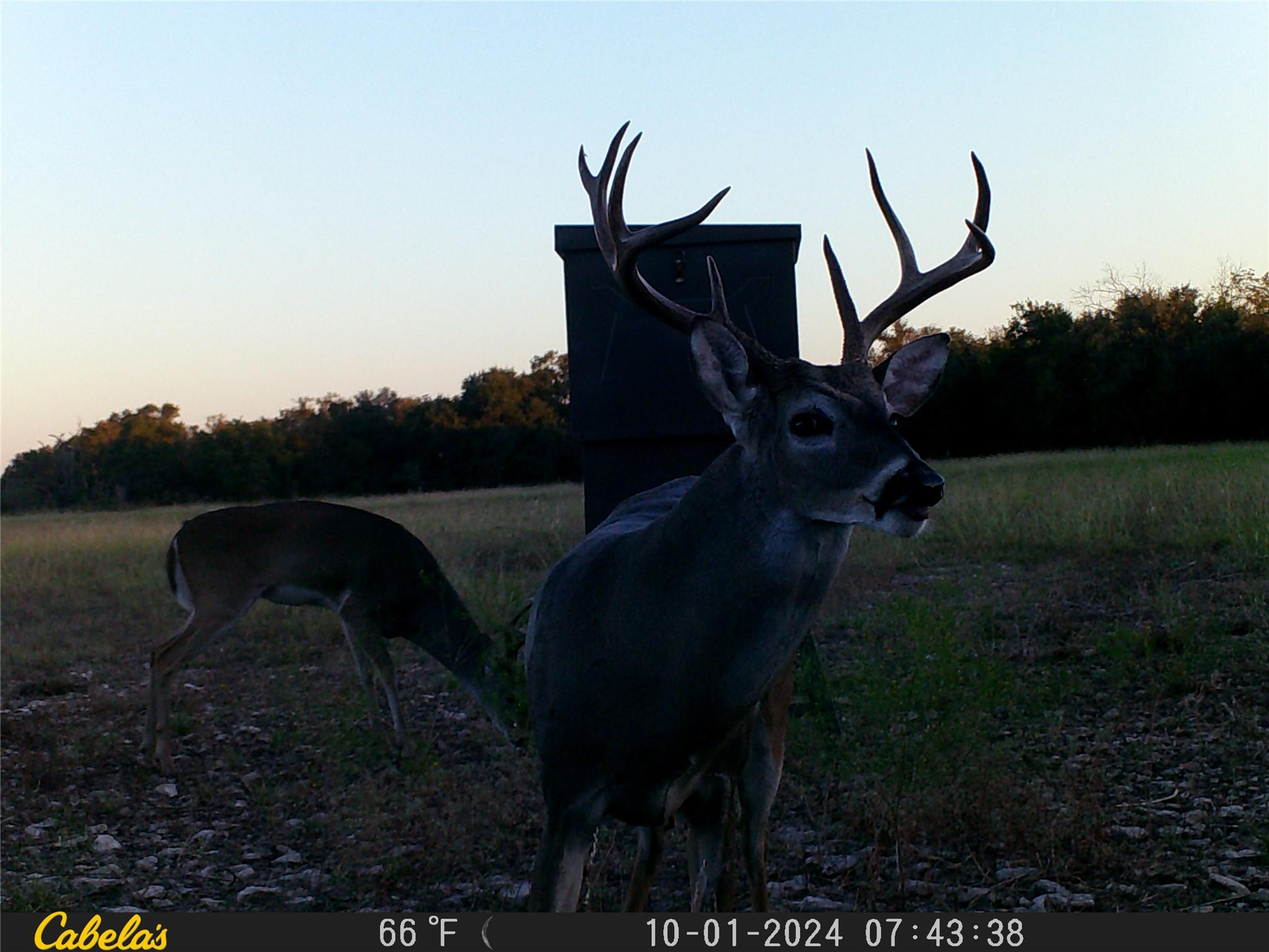 000 C.r, 316 Walburg TX 78626