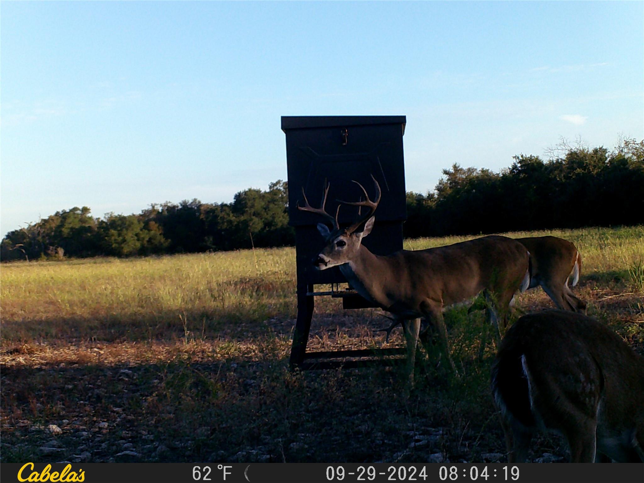 000 C.r, 316 Walburg TX 78626