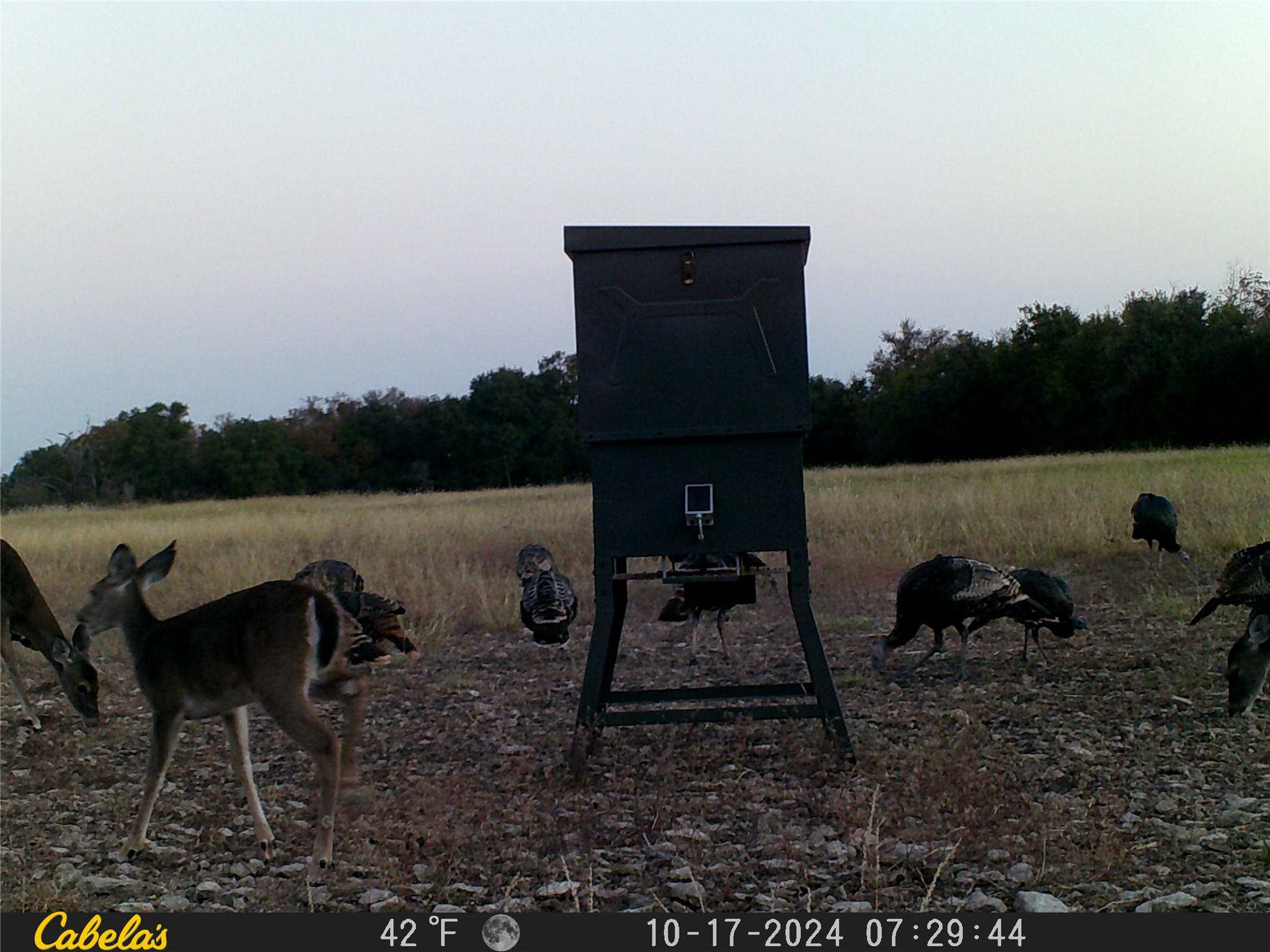 000 C.r, 316 Walburg TX 78626