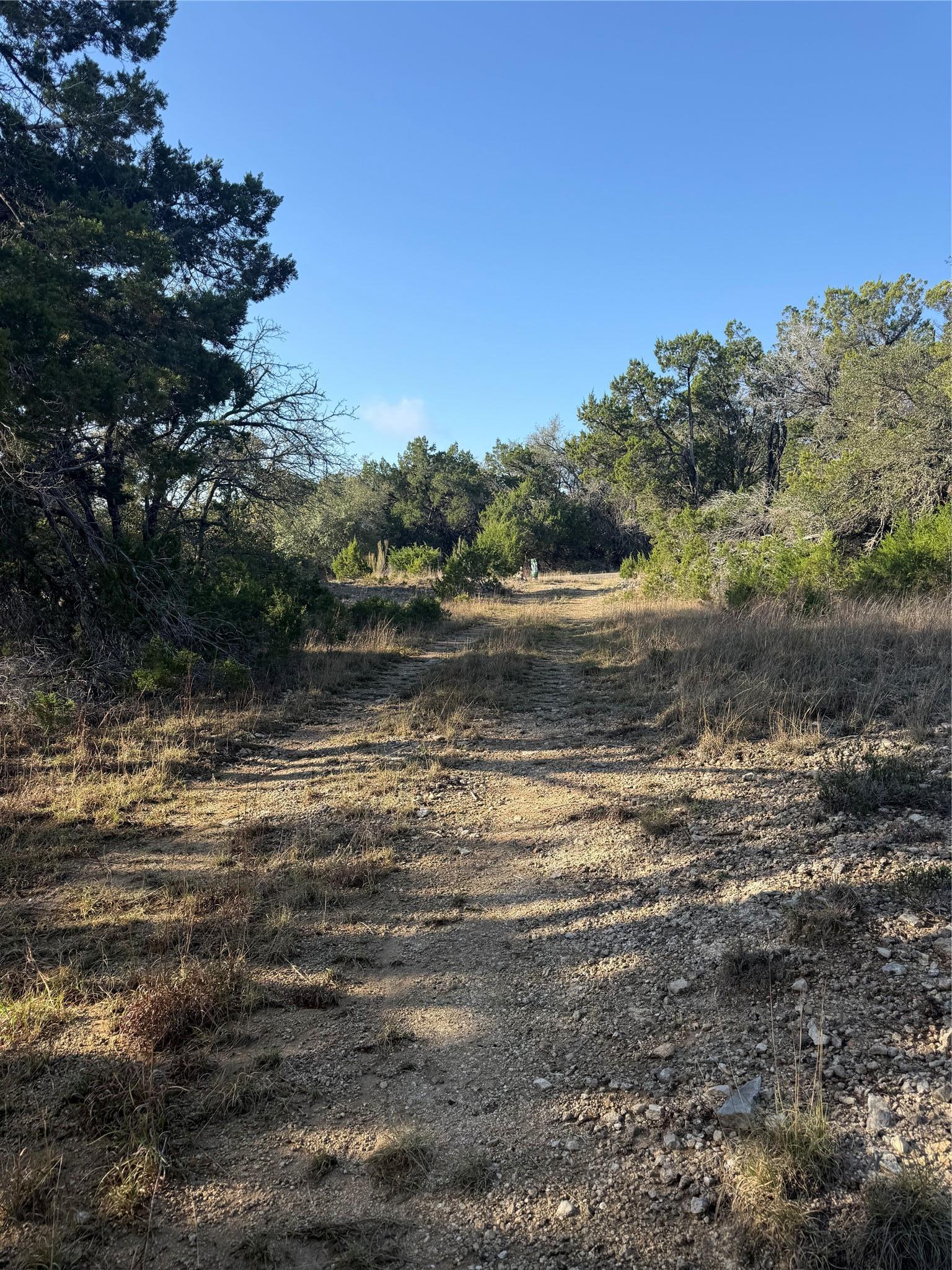 3600 Stagecoach Ranch Loop Dripping Springs TX 78620