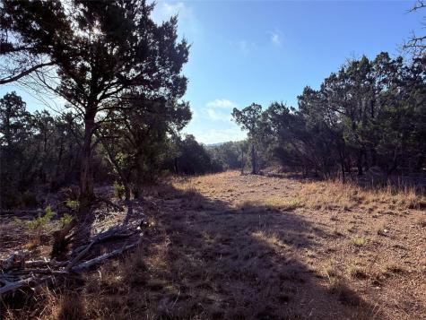 3600 Stagecoach Ranch Loop Dripping Springs TX 78620