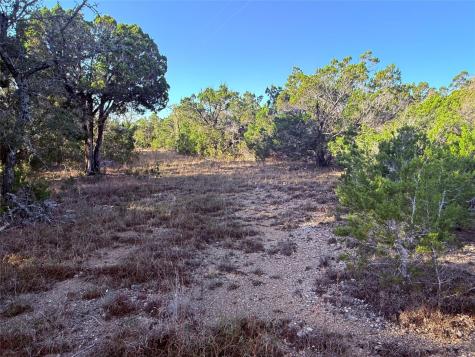 3600 Stagecoach Ranch Loop Dripping Springs TX 78620