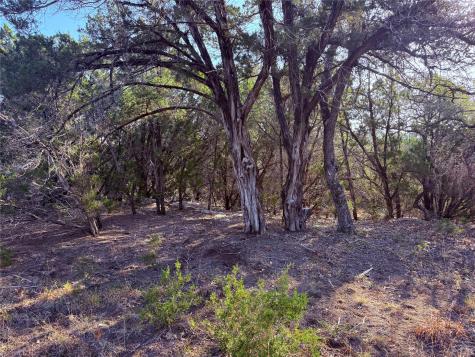 3600 Stagecoach Ranch Loop Dripping Springs TX 78620