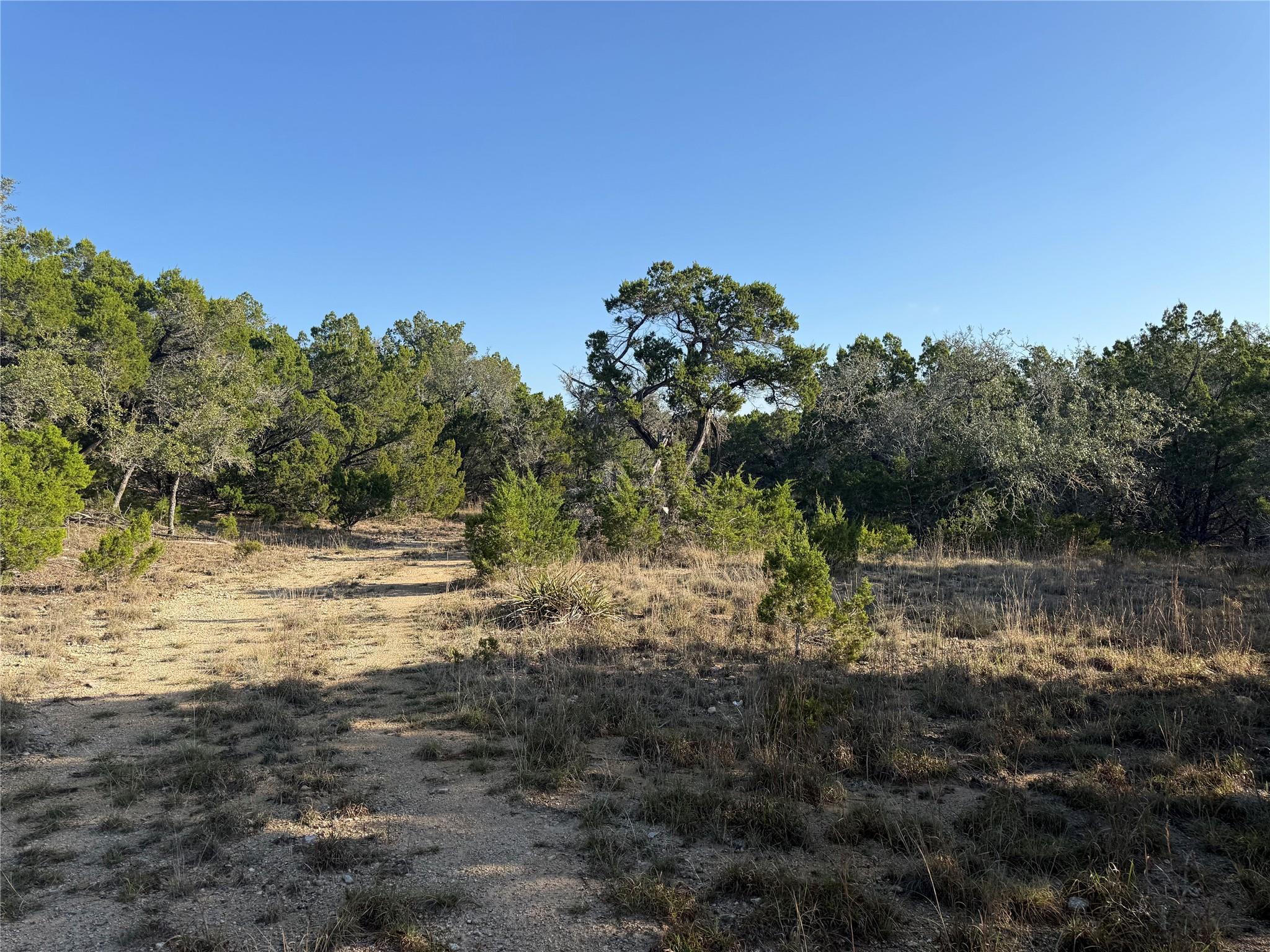 3600 Stagecoach Ranch Loop Dripping Springs TX 78620