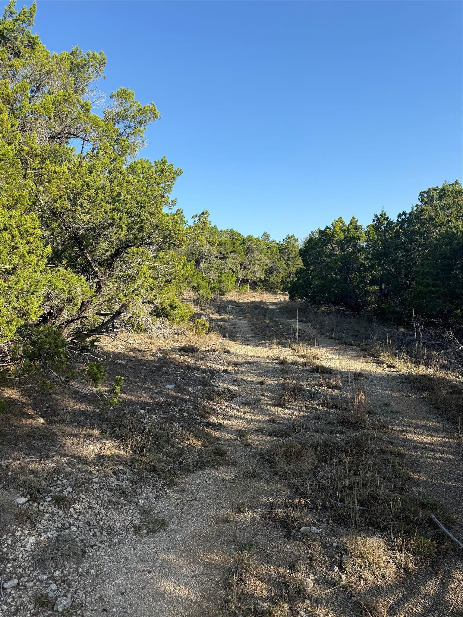 3600 Stagecoach Ranch Loop Dripping Springs TX 78620
