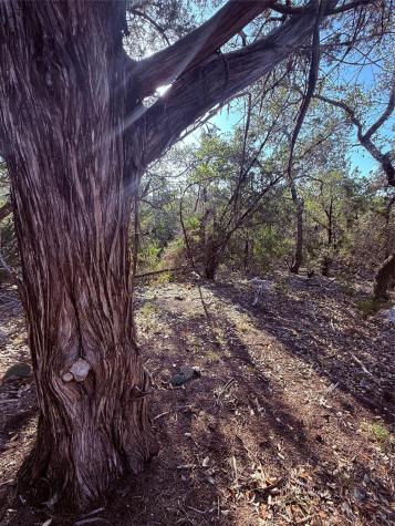 3600 Stagecoach Ranch Loop Dripping Springs TX 78620