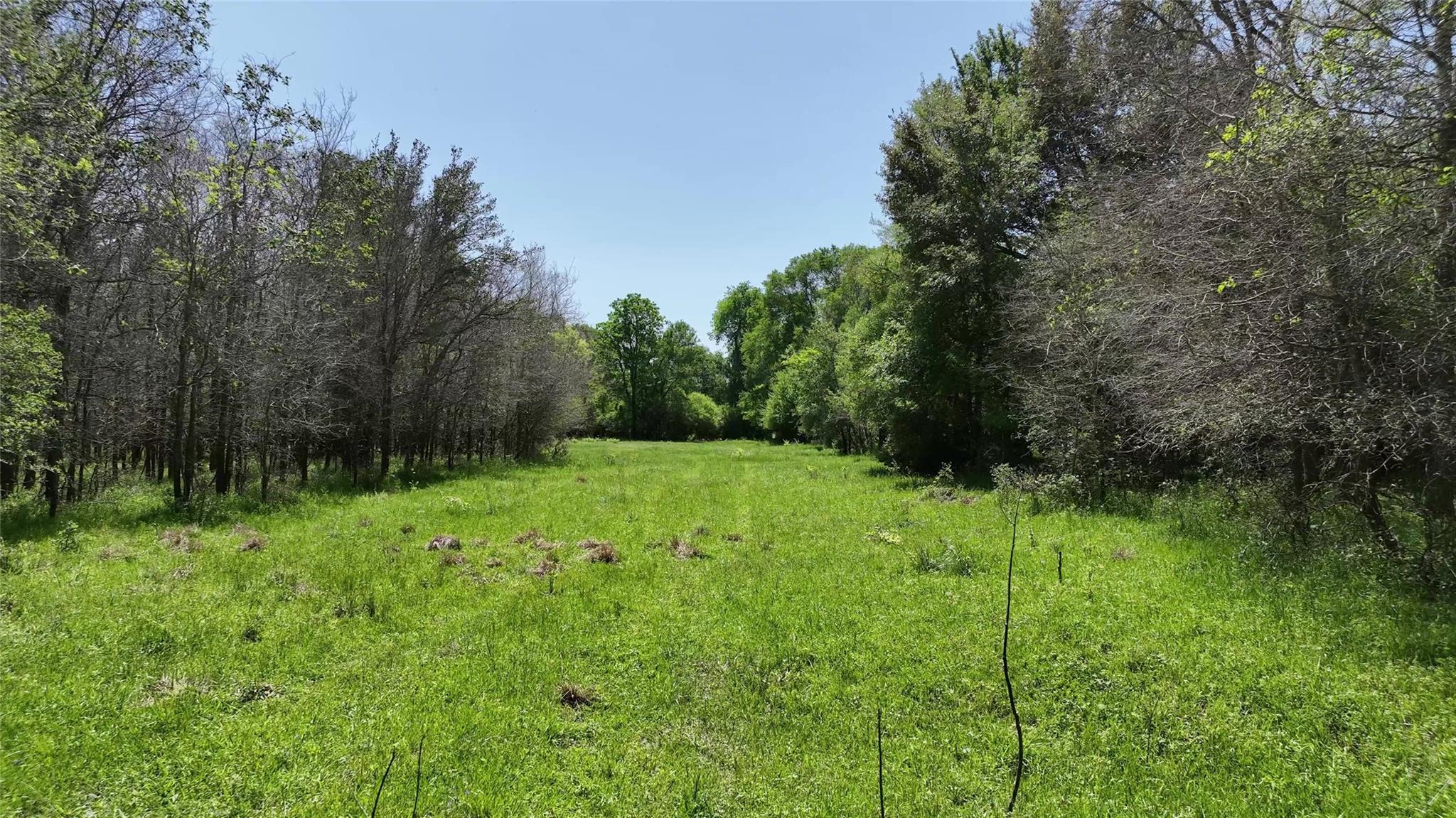 0 County Road 119 Ledbetter TX 78946