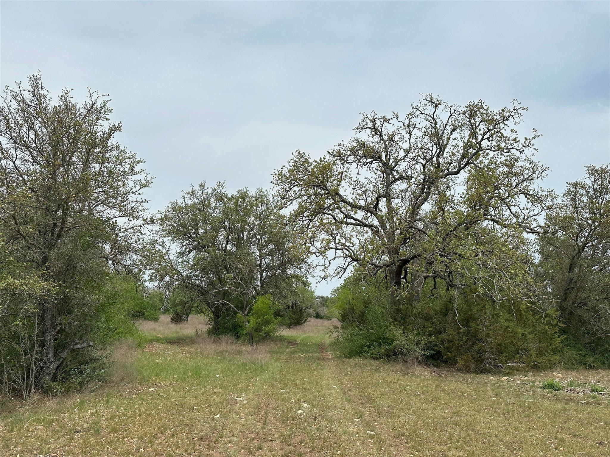 Tbd County Road 330 Bertram TX 78605