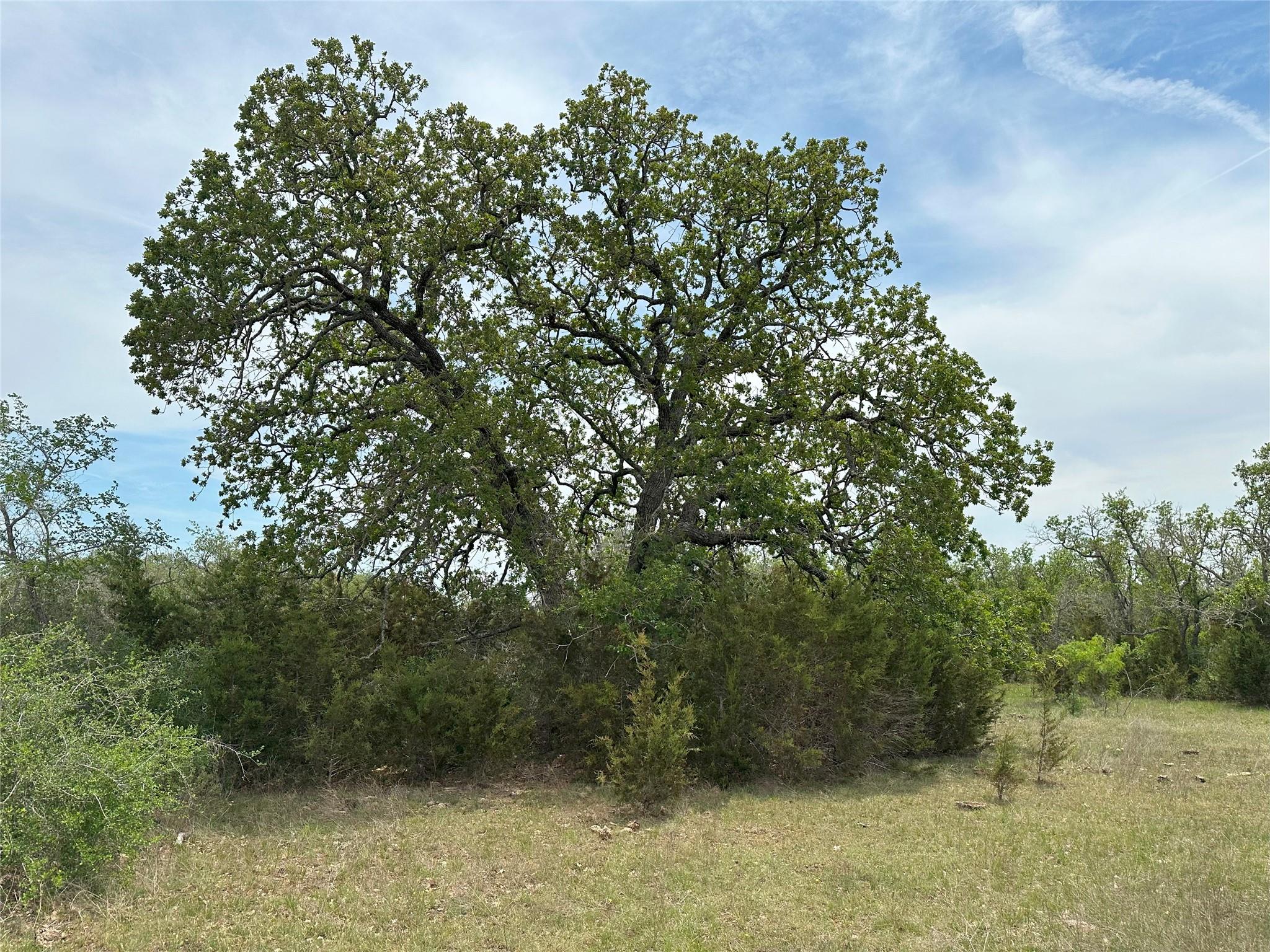 Tbd County Road 330 Bertram TX 78605
