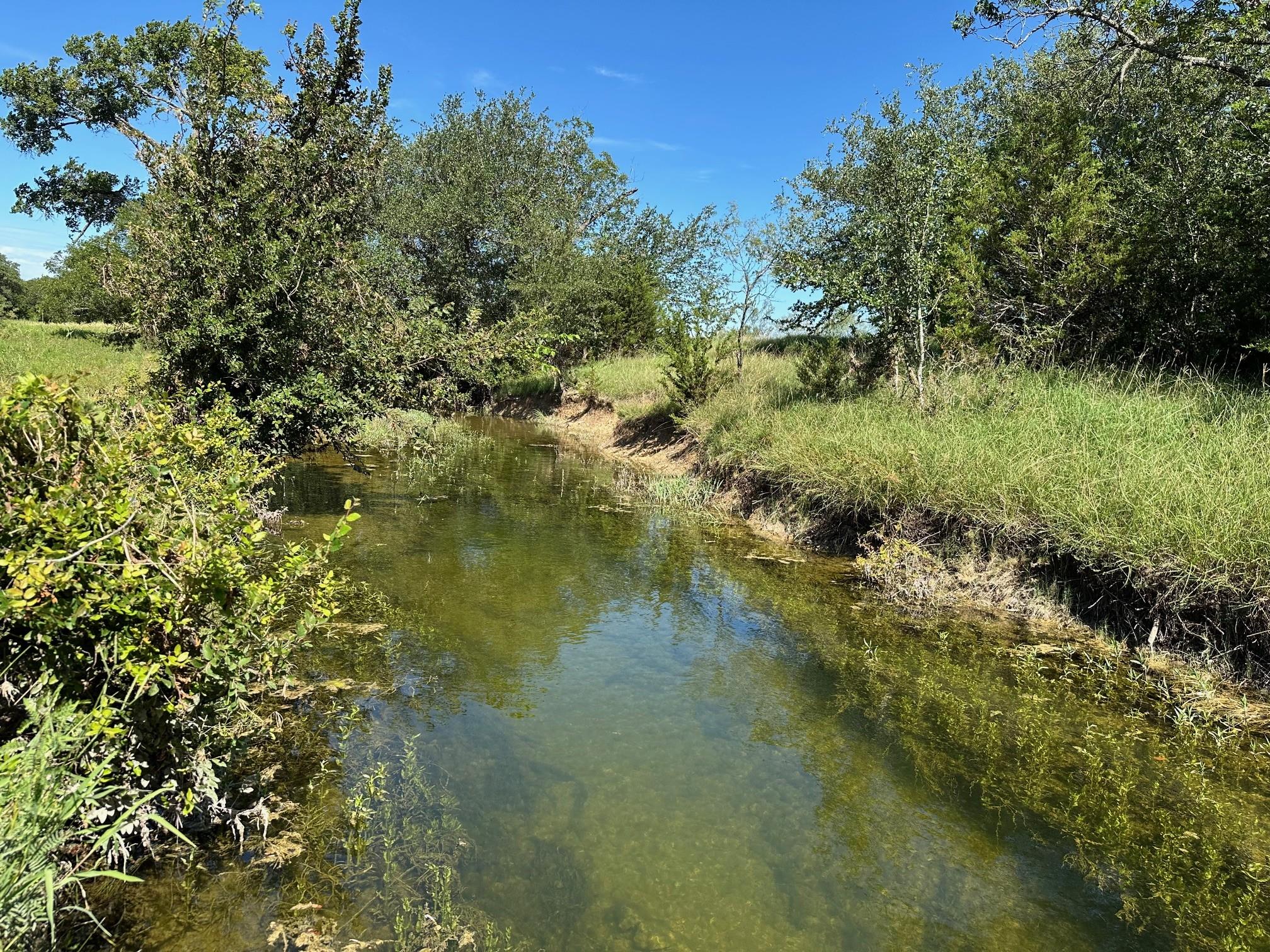 Tbd County Road 330 Bertram TX 78605