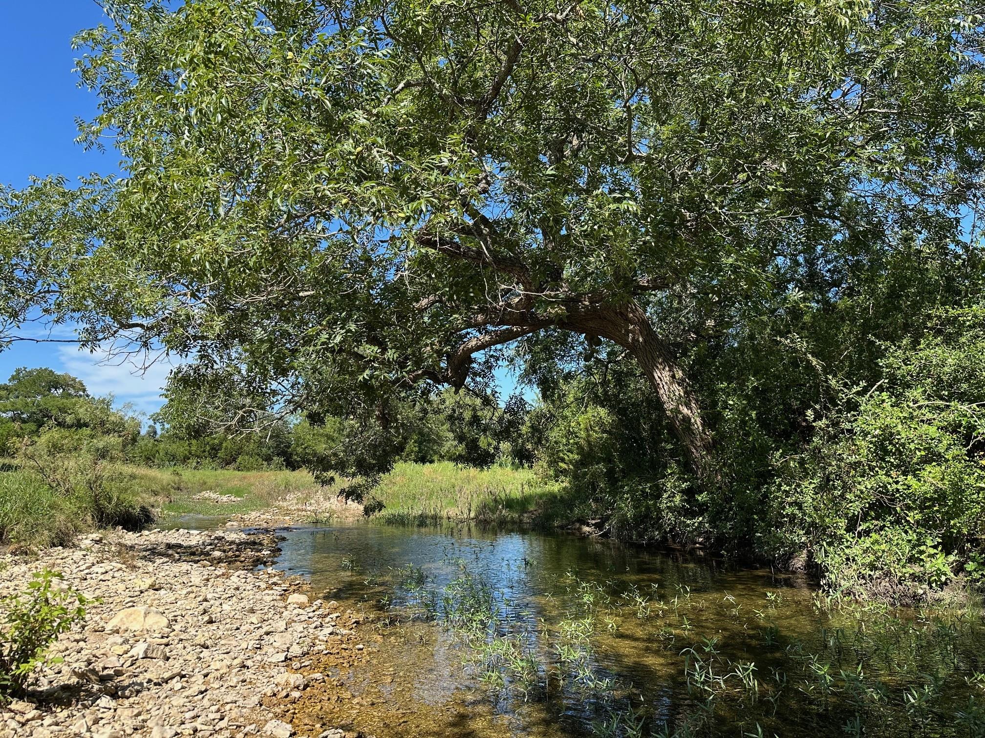 Tbd County Road 330 Bertram TX 78605