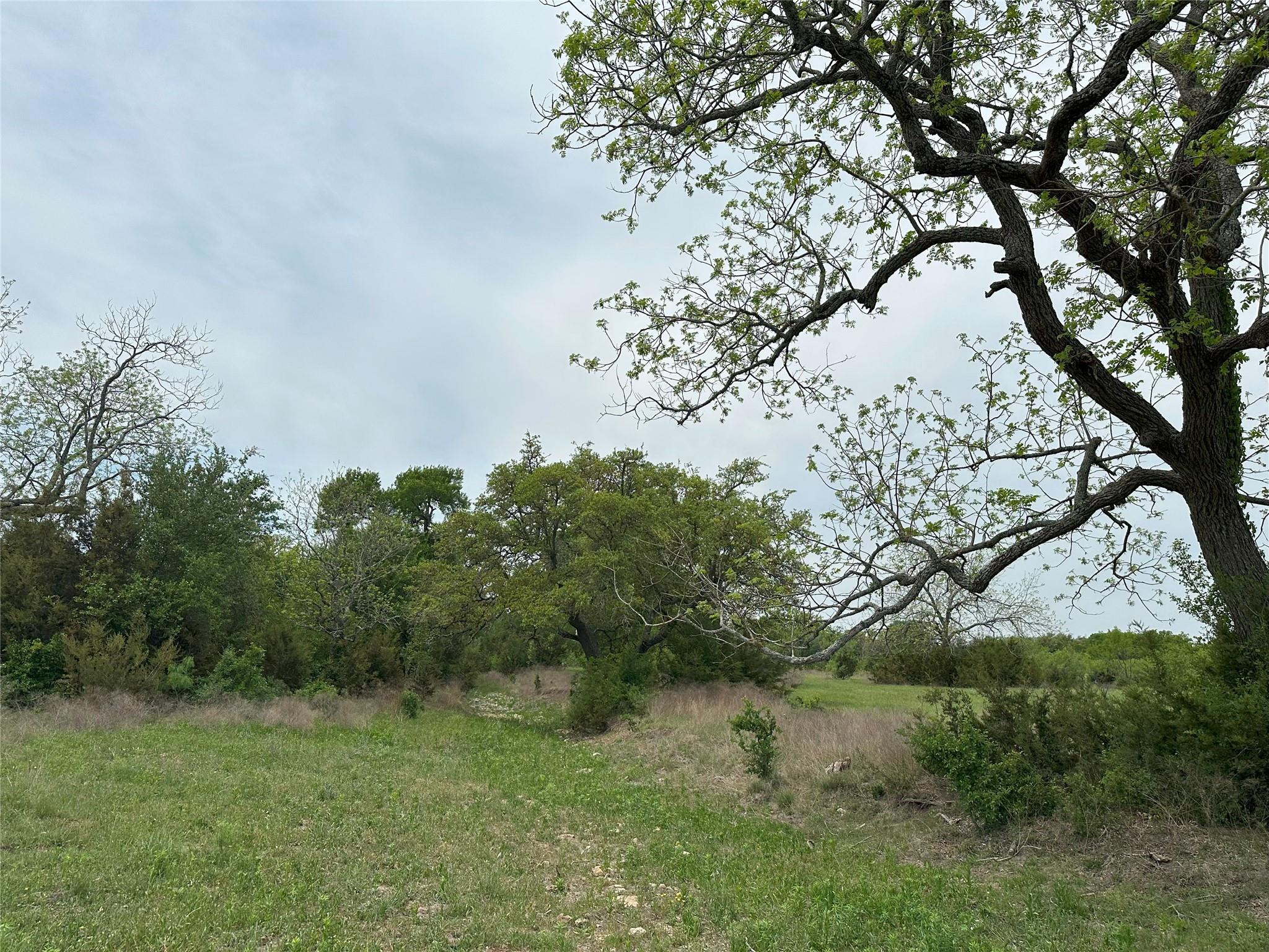 Tbd County Road 330 Bertram TX 78605